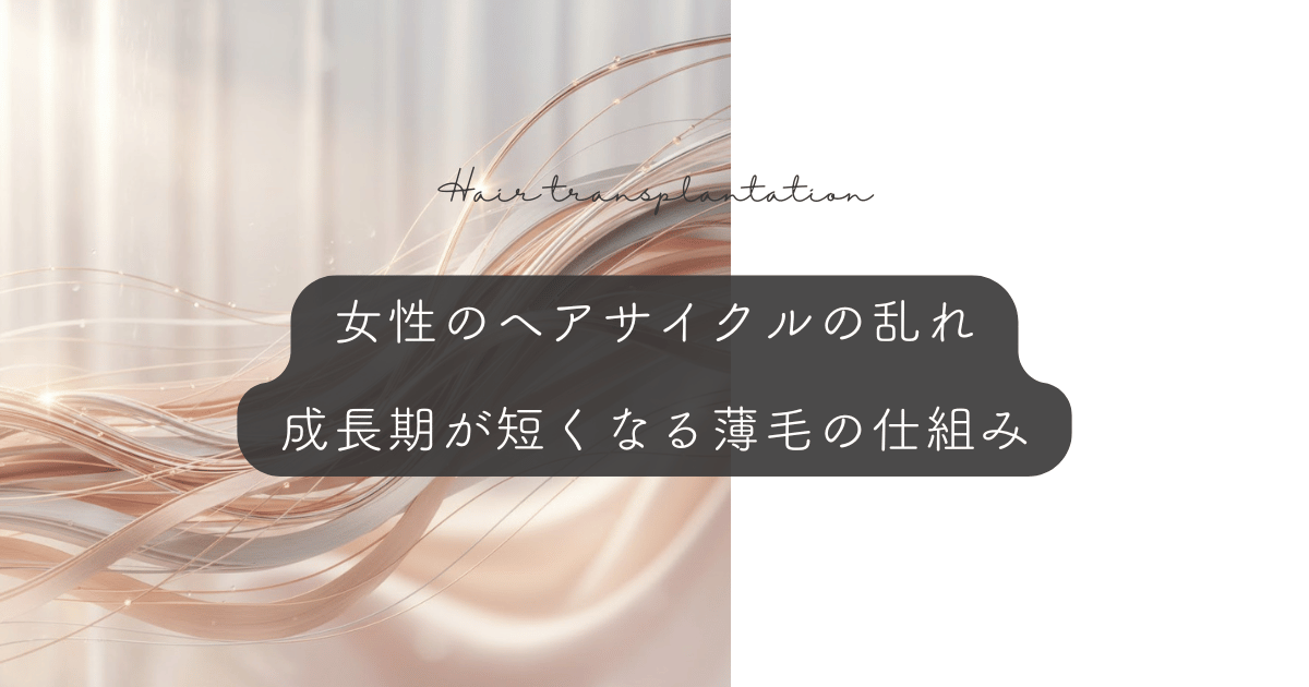 女性のヘアサイクル（毛周期）の乱れ｜成長期が短くなる薄毛の仕組み