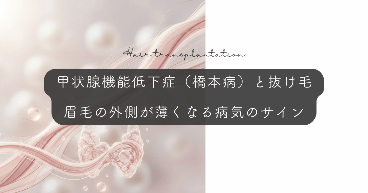 甲状腺機能低下症（橋本病）と抜け毛｜眉毛の外側が薄くなる病気のサイン