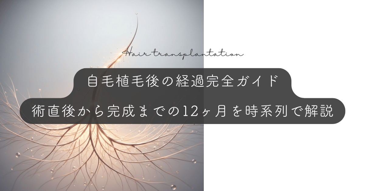 自毛植毛後の経過完全ガイド|術直後から完成までの12ヶ月を時系列で解説